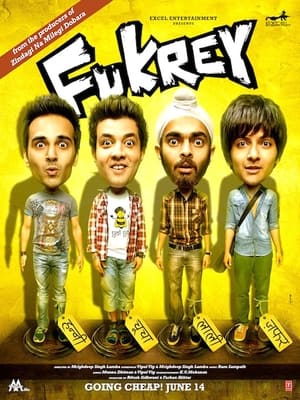 Fukrey (2013) Full Movie Bluray Download – 1GB