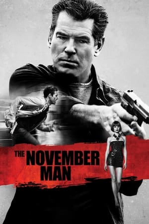The November Man 2014 Dual Audio [Hindi – English] 480p BluRay 350MB