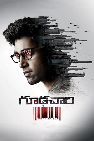 Goodachari (2018) (Hindi – Telugu) Dual Audio 480p UnCut HDRip 450MB