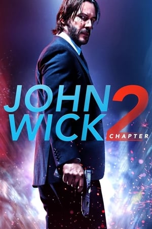 john Wick Chapter 2 (2017) Dual Audio Hindi Movie 720p BluRay – 1.1GB