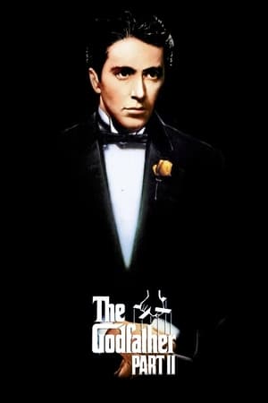 The Godfather Part II (1974) Dual Audio Hindi Full Movie 720p BluRay – 1GB