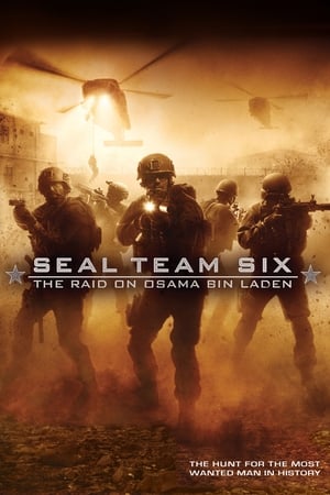 Seal Team Six: The Raid on Osama Bin Laden (2012) Hindi Dual Audio Full Movie 720p BluRay – 1.3GB