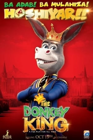 Donkey king 2018 Pakistani Movie 480p HDRip – [350MB]