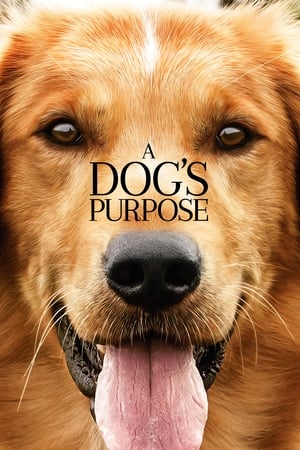 A Dog’s Purpose (2017) Full Movie HDCAM 850MB
