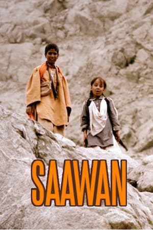 Saawan (2016) Urdu Movie 480p HDRip – [360MB]