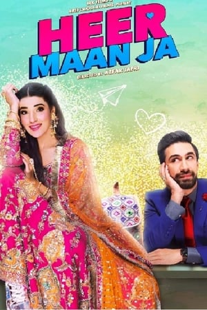 Heer Maan Ja (2019) Urdu Movie 480p HDRip – [420MB]