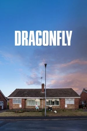 Dragonfly 2025 English Hindi Dual Audio WEB-DL 720p – 480p – 1080p
